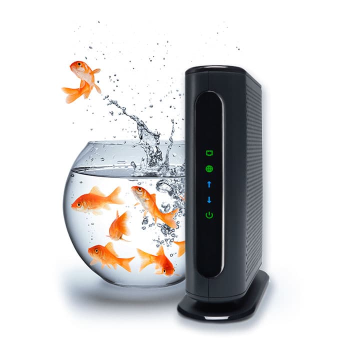 Fish-and-Network-2